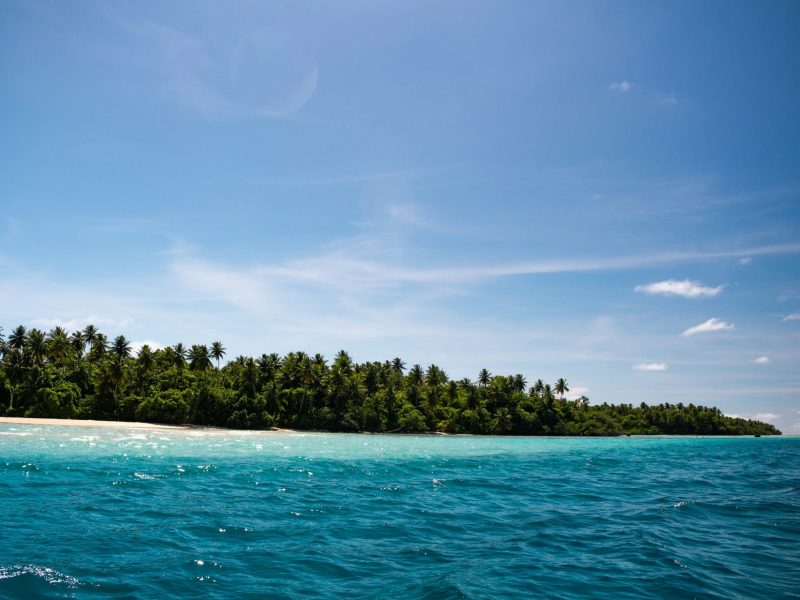 adrian-smith-d779xu7rxQs-unsplash